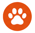 pata de mascota